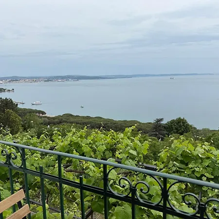 M&s House Apartamento *